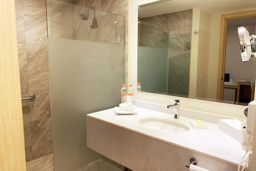 Imagen Mini Habitacion Suite Gobernador Hotel & Suites Bel Air Business Salamanca 10