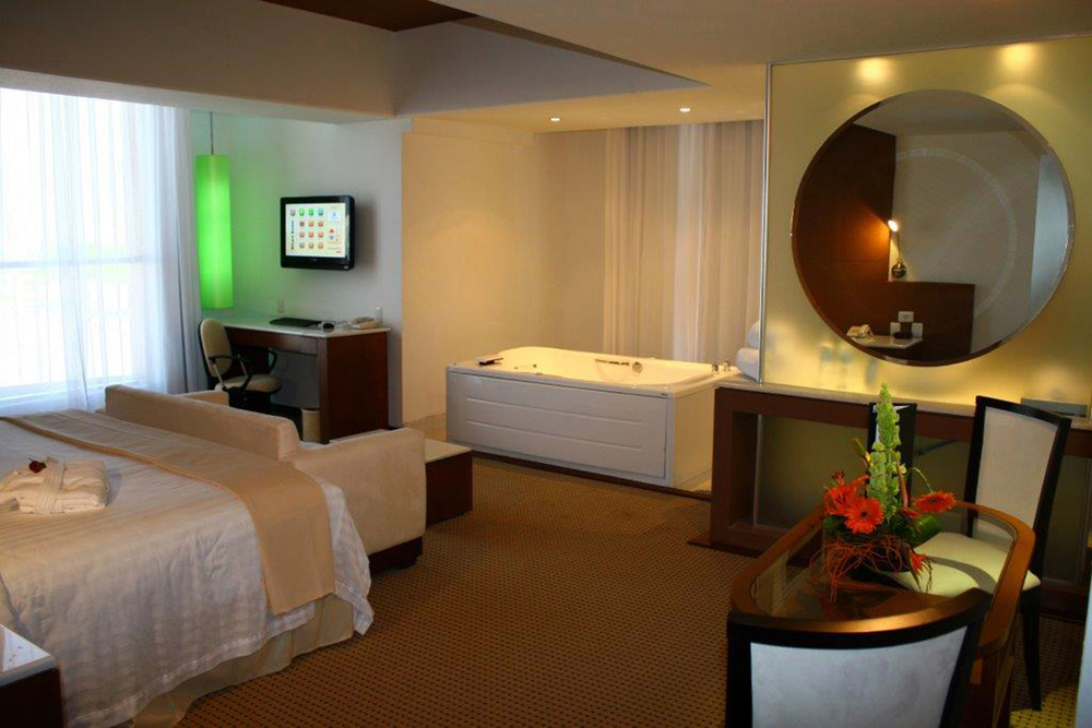Imagen Mini Habitacion Suite Gobernador Hotel & Suites Bel Air Business Salamanca 13